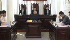 【视频】徐州行政处罚案（1）介绍代理人及代理权限，双方陈述诉求
